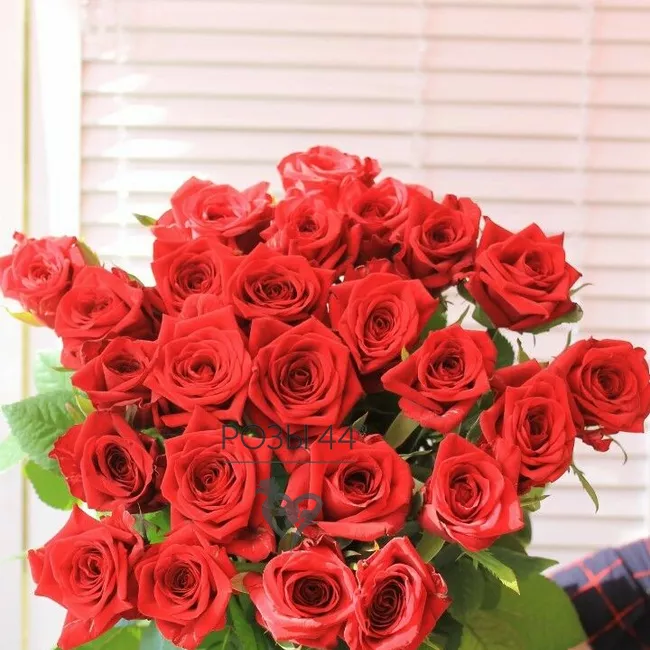 Для праздника