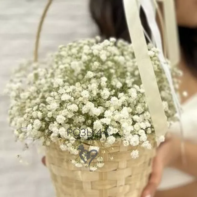 Теплый вечер 1