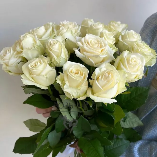 Монобукет из белых роз &laquo;Белые ночи&raquo;