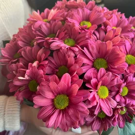 Композиция в коробке &laquo;Новая встреча&raquo; от интернет-магазина «Розы 44» в Костроме