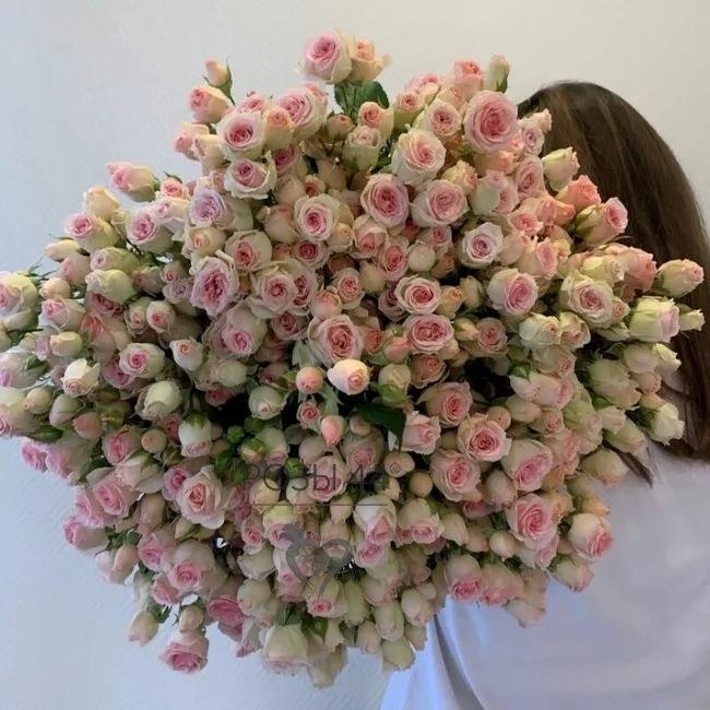 Букет из кустовых роз &laquo;Вау&raquo;