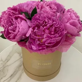 Композиция в коробке &laquo;Пиономания&raquo; от интернет-магазина «Розы 44» в Костроме