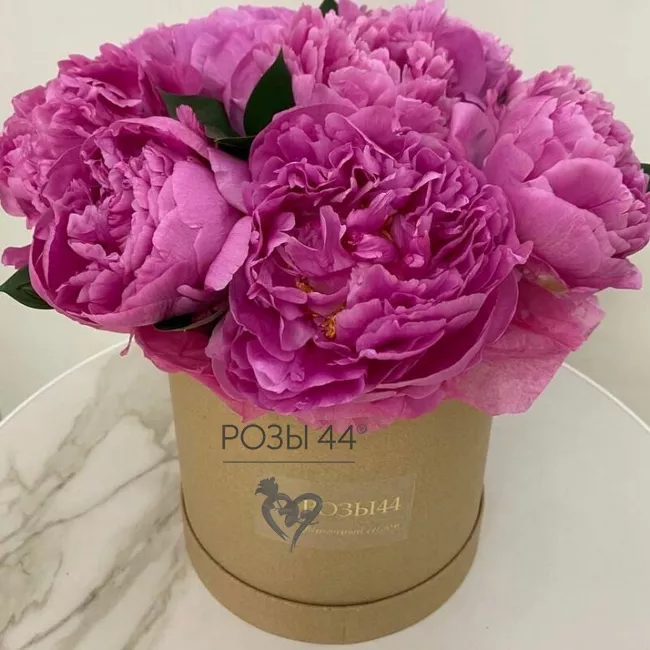 Композиция в коробке &laquo;Пиономания&raquo;