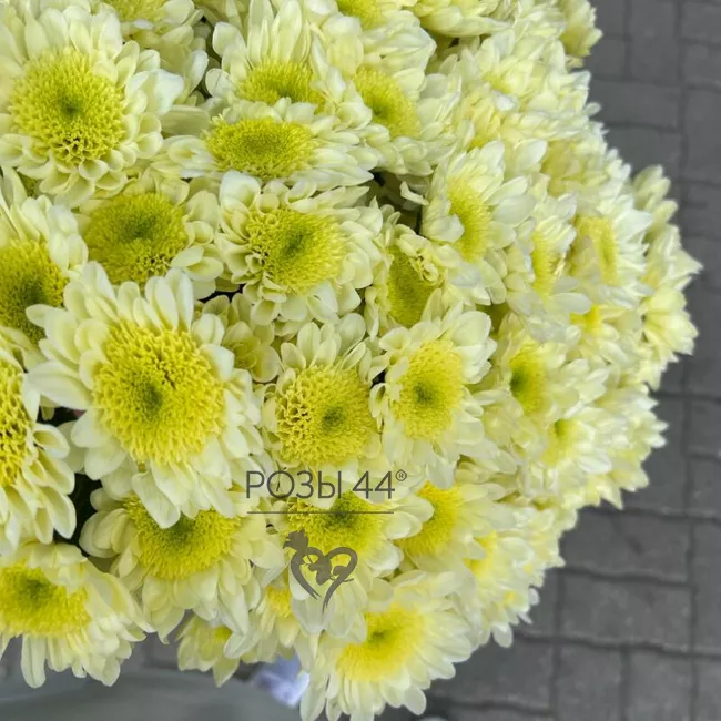 Монобукет из хризантем &laquo;Вдохновение красотой&raquo;