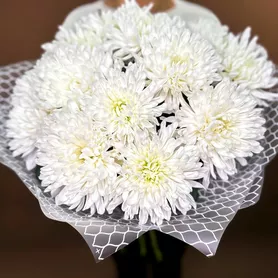 Монобукет из хризантем &laquo;Вдохновение&raquo; от интернет-магазина «Розы 44» в Костроме