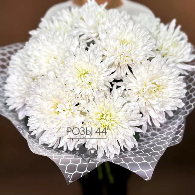 Монобукет из хризантем &laquo;Вдохновение&raquo;