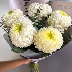 Букет из хризантем &laquo;Пикник&raquo; от интернет-магазина «Розы 44» в Костроме