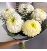 Букет из хризантем &laquo;Пикник&raquo;