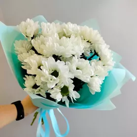 Букет из хризантем &laquo;Школьная пора&raquo; от интернет-магазина «Розы 44» в Костроме