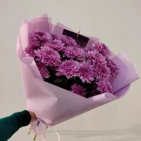 15 кустовых хризантем от интернет-магазина «Розы 44» в Костроме