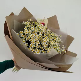 Букет &laquo;Ромашковое поле&raquo; от интернет-магазина «Розы 44» в Костроме