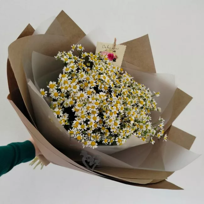 Букет &laquo;Ромашковое поле&raquo; 1