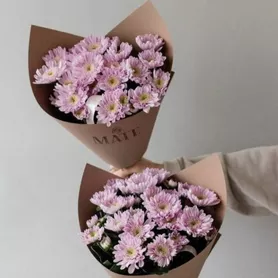 Букет из 5 кустовых хризантем от интернет-магазина «Розы 44» в Костроме