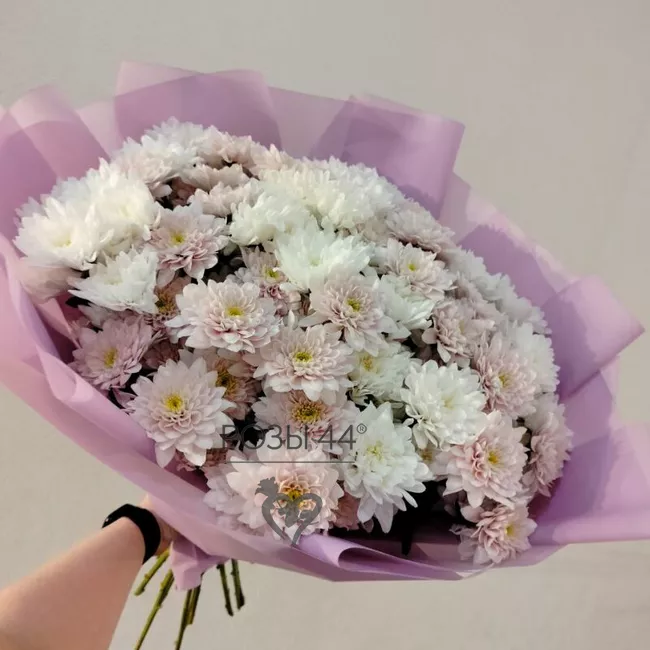 Монобукет из 15 хризантем
