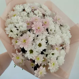 Монобукет из 19 хризантем от интернет-магазина «Розы 44» в Костроме