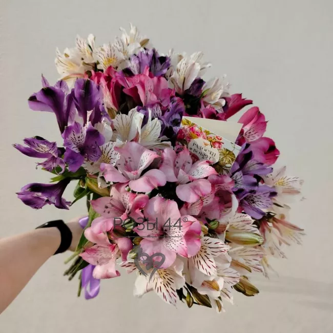 Монобукет из альстромерий 1