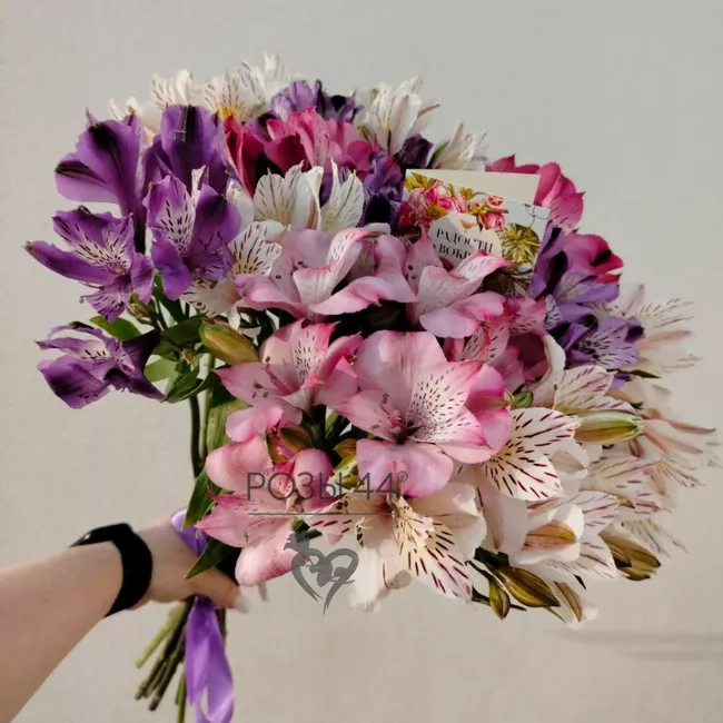 Монобукет из альстромерий