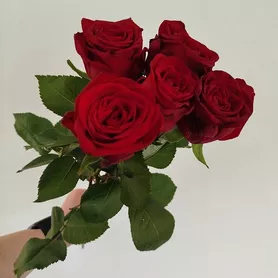 Букет из 5 красных роз  от интернет-магазина «Розы 44» в Костроме