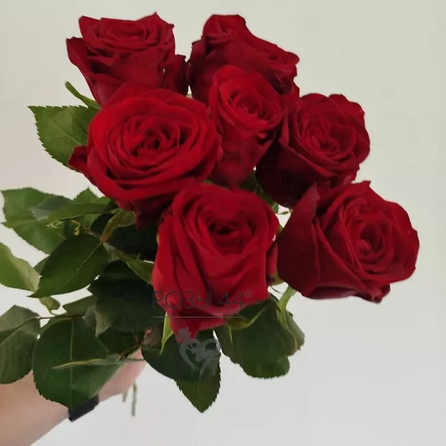 Букет &laquo;Язык любви&raquo; из 9 роз 