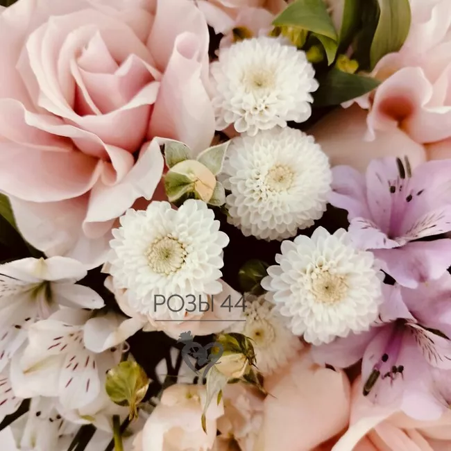 &laquo;Рассвет надежды&raquo; 1