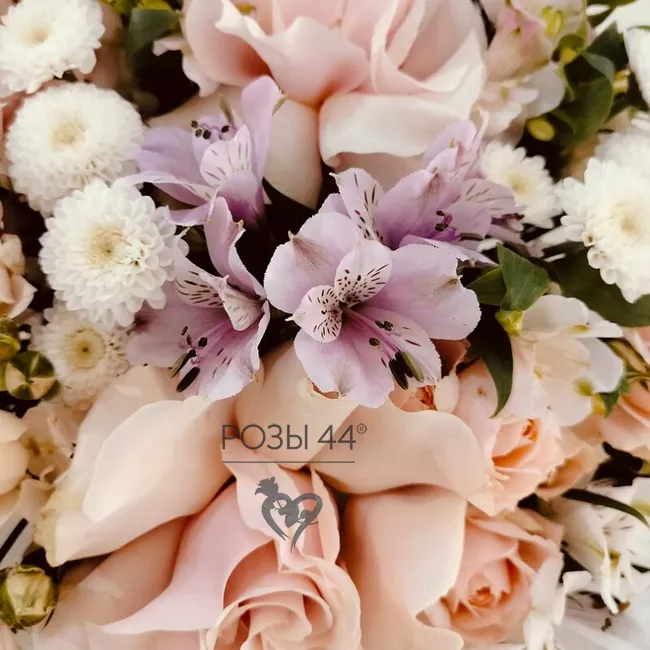 &laquo;Рассвет надежды&raquo; 2