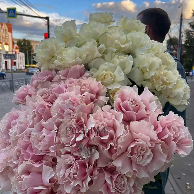 Французские розы  1