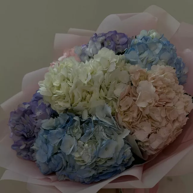 Букет из 7 гортензий 1